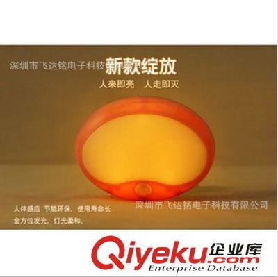 創意燈飾系列 小浣熊感應燈——節能與萌趣的完美融合